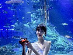 -沈阳海洋探索中心