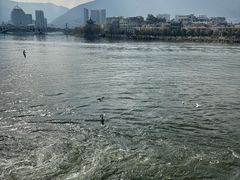 -大理洱海
