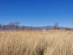 -野鸭湖国家湿地公园