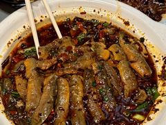 -情妹耙泥鳅·江湖川菜(科华店)