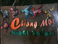 -清迈夜间动物园