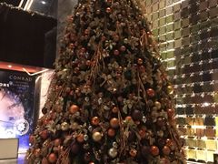 -北京康莱德酒店