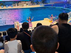 -泉城欧乐堡海洋极地世界