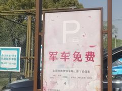 -顾村公园3号门停车场