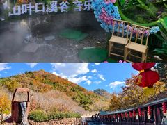 -山叶口景区