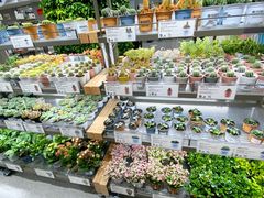 -鹿岛生活(熙地港店)
