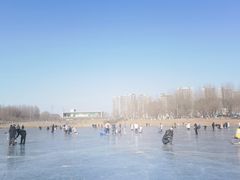 -丁香湖公园