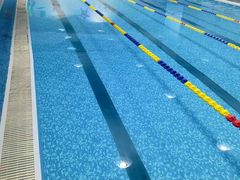 -飞鲨游泳培训学校
