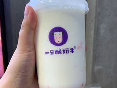 -一只酸奶牛(八一路店)