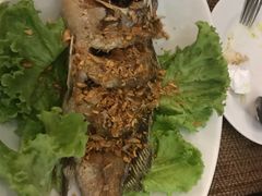 -自然餐厅(Phuket)