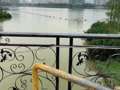 -飞来湖湿地公园