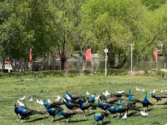 -哈尔滨北方森林动物园