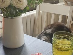 -海边的猫和咖啡馆