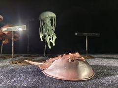 -同济大学四平路校区深海探索馆