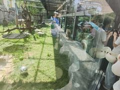 -青藏高原野生动物园