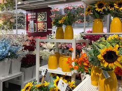 -宜家家居(高新商场店)