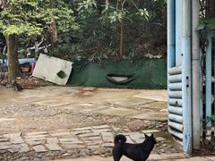 -火炉山森林公园