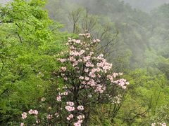 -光雾山旅游景区