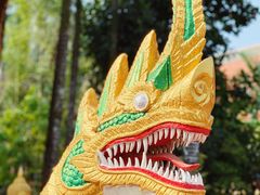 -曼听御花园