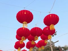 -上海海昌海洋公园