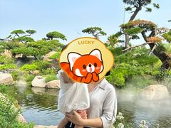 -罗红摄影艺术馆