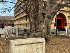 -北京石刻艺术博物馆(五塔寺)