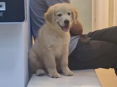 -宠颐生汉谟拉比宠物医院