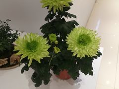-汇龙潭