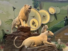 -陕西自然博物馆