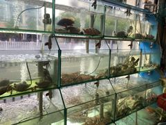 -凯华海鲜火锅·传承三十六年