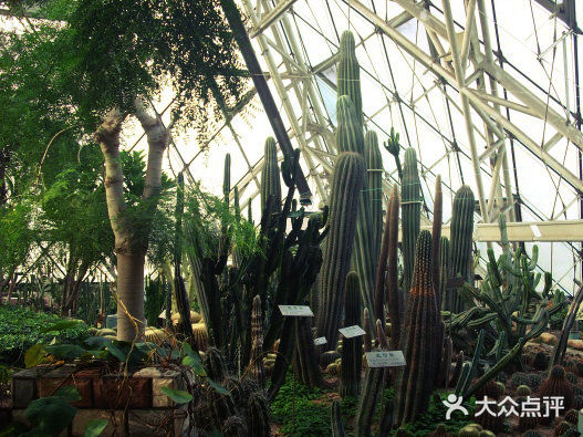 泰达热带植物园图片
