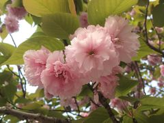 -哈尔滨师范大学(江南校区)