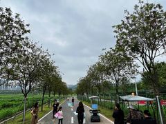 -光明小镇欢乐田园