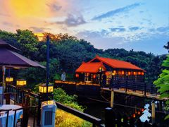 -侨美·唐荔园·40年地道粤菜