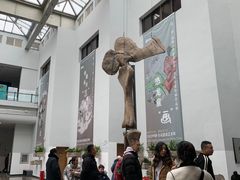 -自贡恐龙博物馆