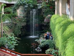 -白天鹅宾馆-宏图府餐厅