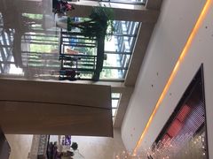 -常州环球恐龙城维景国际大酒店
