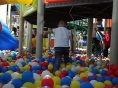 -成都浩海立方海洋公园