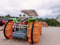 -三亚亚龙湾金棕榈度假酒店