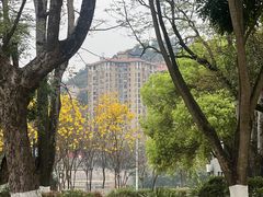 -永安龟山公园