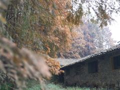 -山王坪喀斯特国家生态公园