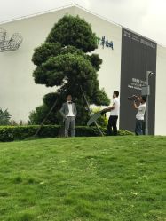 -经典婚纱摄影美学馆·私人定制