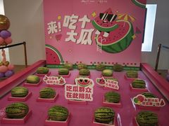 -岁宝Shirble plaza(龙珠店)