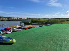 -春花秋色城市公园