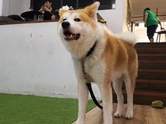 -YCHL Studios健身工作室(市二宫店)