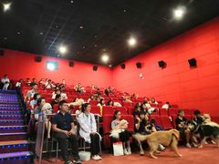 -有宠宠物(YOUCOIN·未来店)