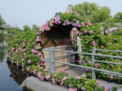 -无锡蠡湖国家湿地公园-蠡园