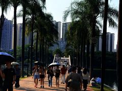 -南宁南湖公园