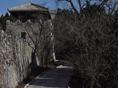 -原山国家森林公园