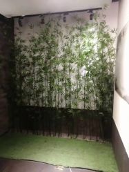 -盘子女人坊古装写真摄影(天津总店)